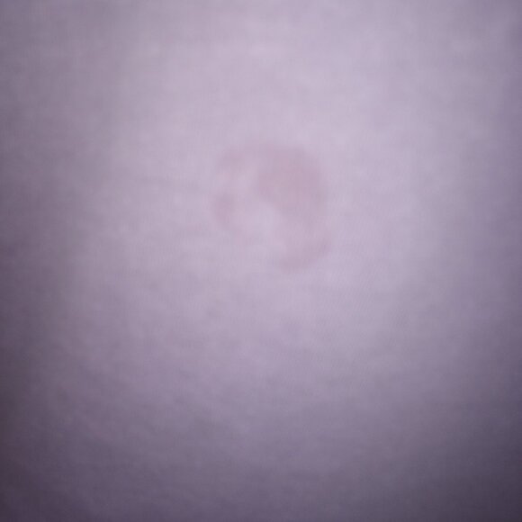 NCT Dreamconcert shirt - Picture 4 of 4